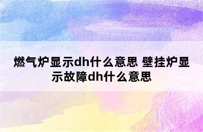 燃气炉显示dh什么意思 壁挂炉显示故障dh什么意思